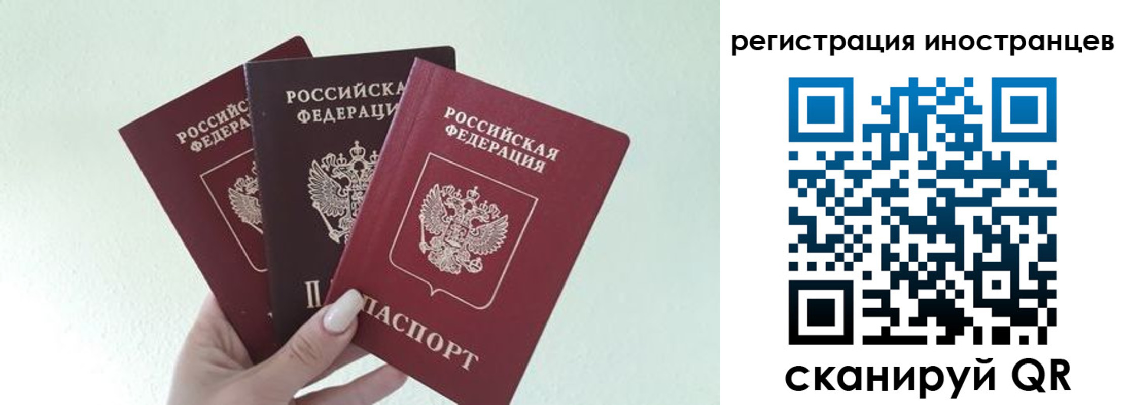 миграционный учет в Ясном